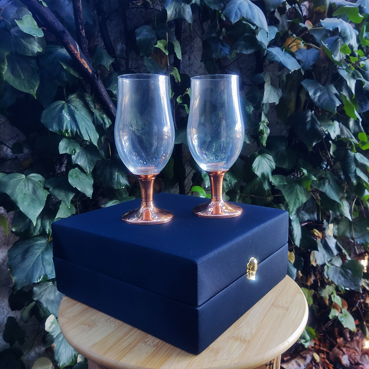 Set 2 Copones Cerveceros C/ Pie de Cobre