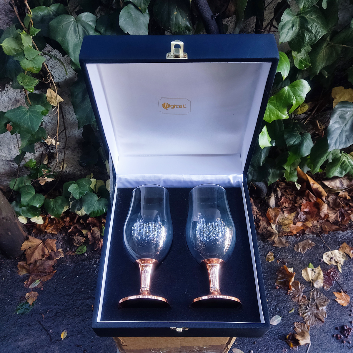 Set 2 Copones Cerveceros C/ Pie de Cobre