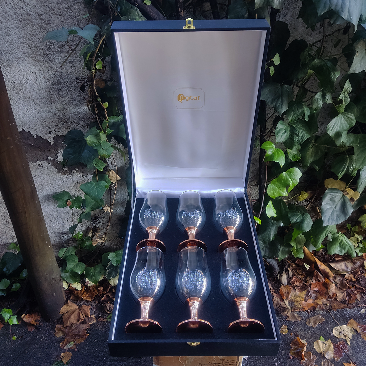 Set 6 Copones Cerveceros C/ Pie de Cobre