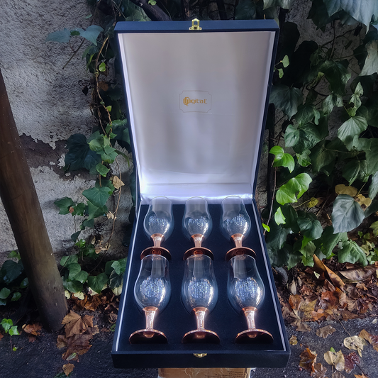 Set 6 Copones Cerveceros C/ Pie de Cobre